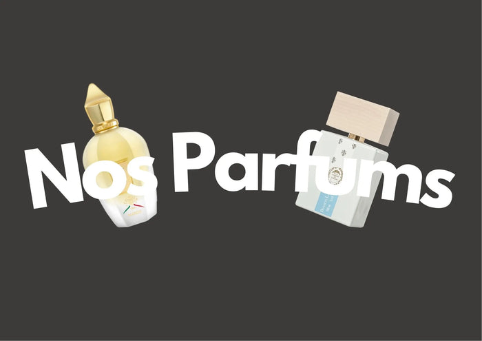 Tous Nos Parfums - Muda Parfum